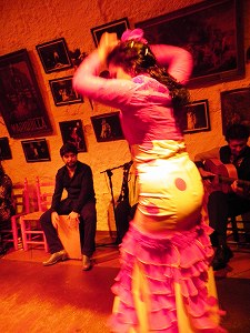 s-20121209 granada (08).jpg